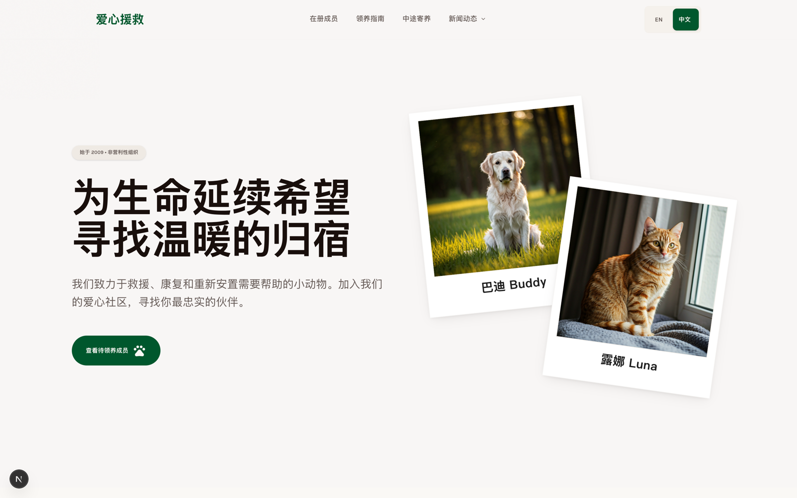 Homepage (中文)