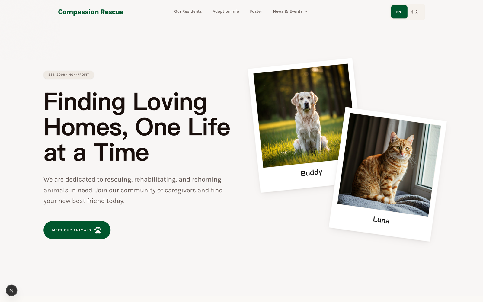 Homepage