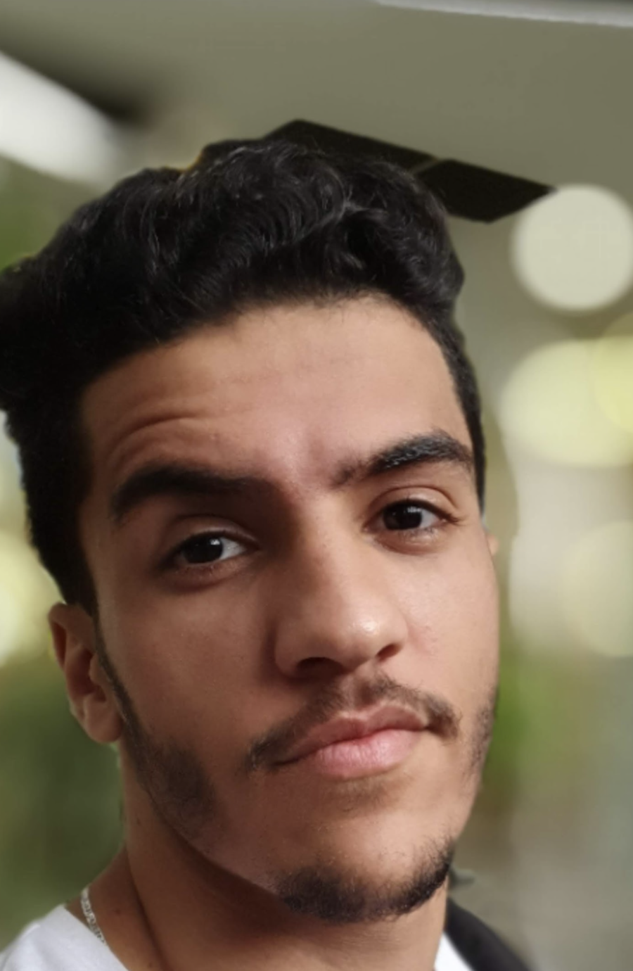 Elhashmi A. Naas